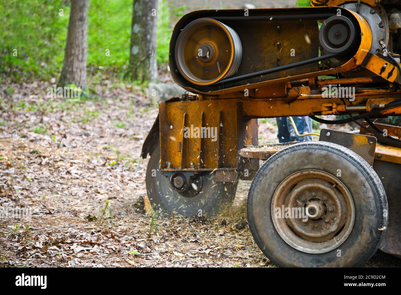 A Stump Grinding  Machine Removing a Stump from Cut Down Tree Stock Photo