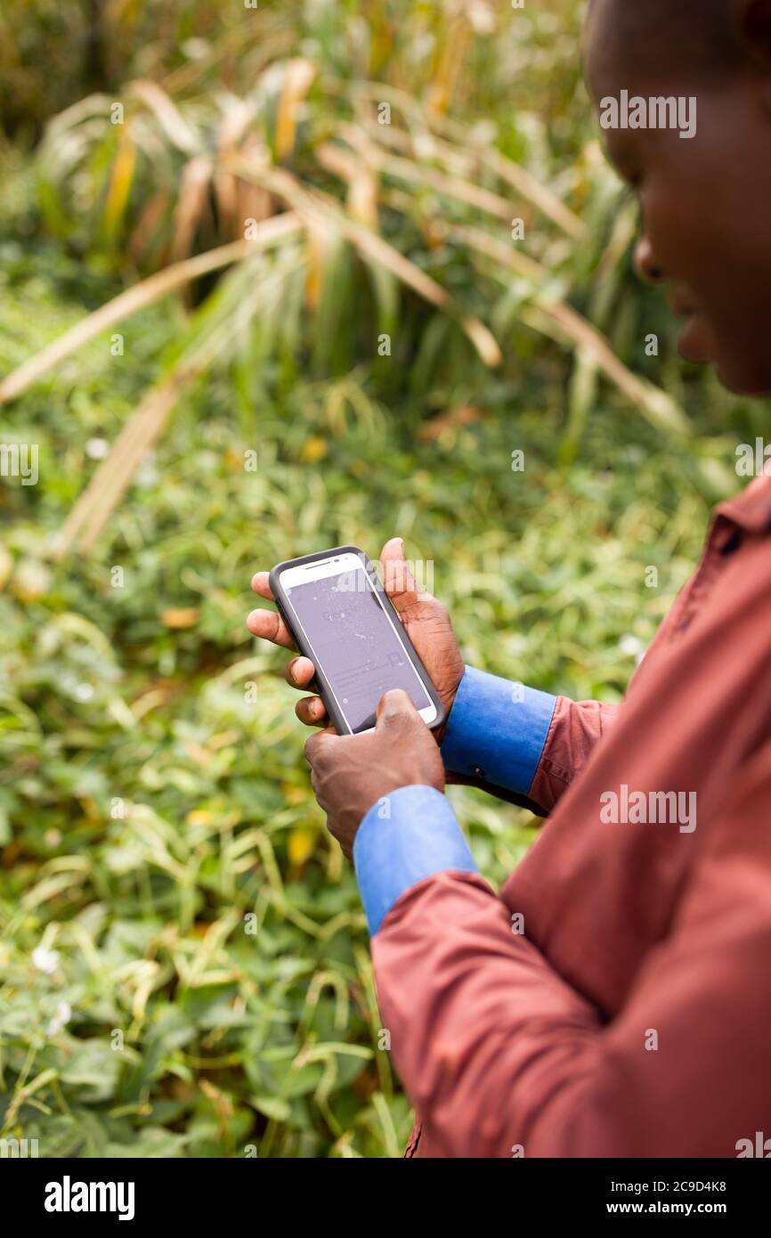 A farmer researches market prices on his mobile phone through the TaroWorks application in Tahoua Region, Niger, West Africa. Stock Photo