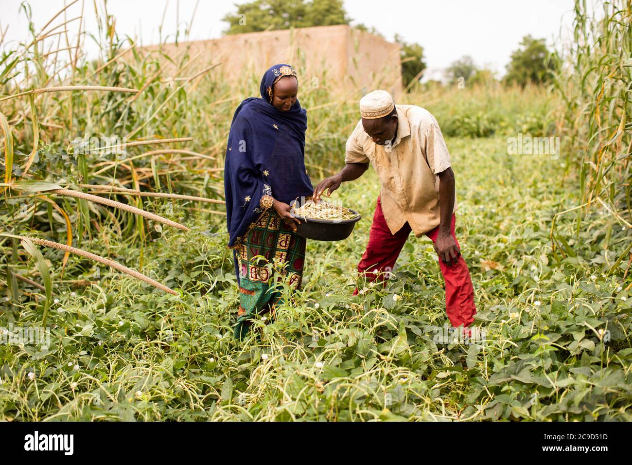 Niger farming woman hi-res stock photography and images - Alamy