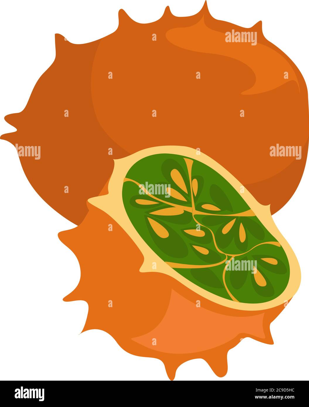 Horned melon, illustration, vector on white background Stock Vector