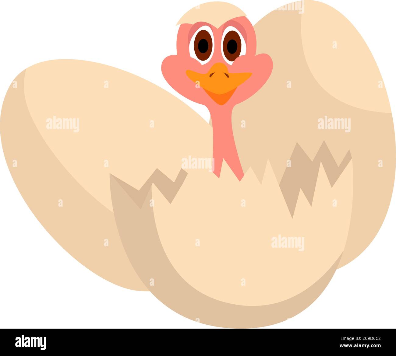 Little ostrich, illustration, vector on white background Stock Vector