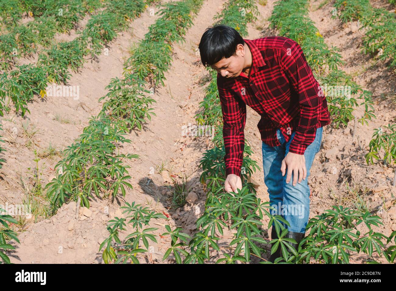 Asian farmer hi-res stock photography and images - Alamy