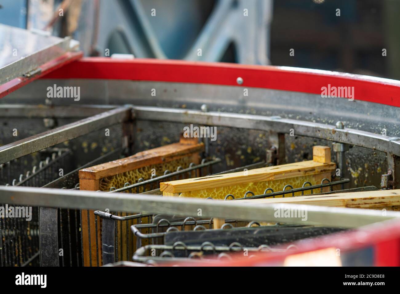 Honey extractor honeycomb wax with honey frame. Stock Photo