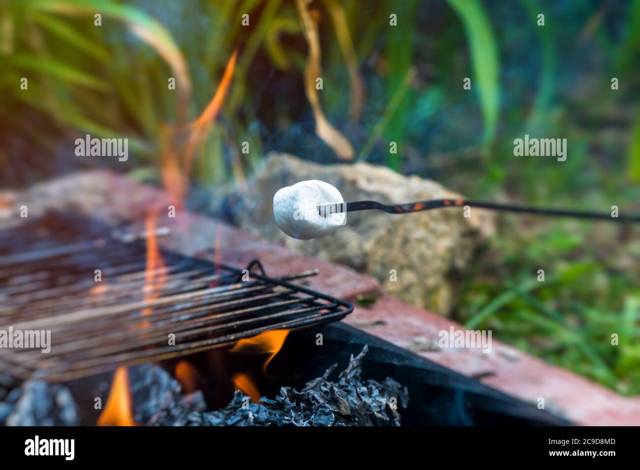 whote marshmallows on skewer over fire outdoors Stock Photo