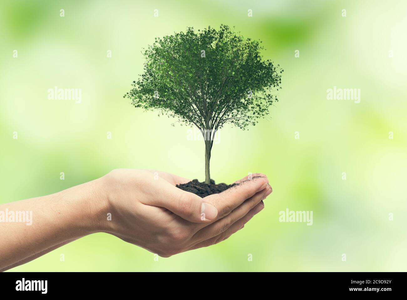 Human hand holding tree against blurred natural background. Save nature, ecology, Earth day concept. Stock Photo