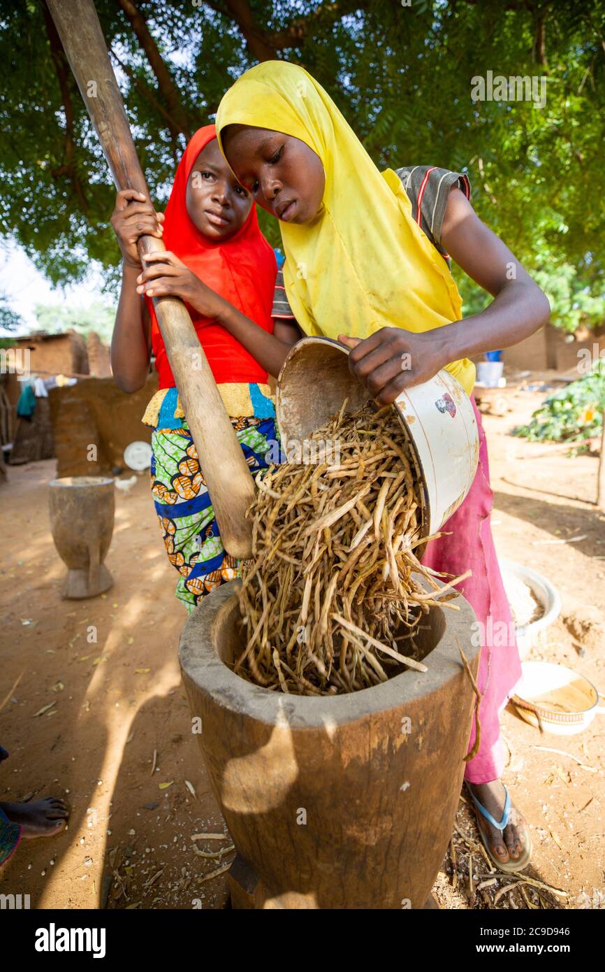 Girls work together to thresh cowpea shells by pounding them with a  mortar and pestle in Tahoua Region, Niger, West Africa. Stock Photo