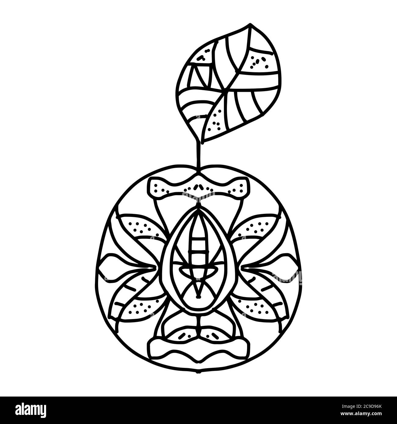 antistress coloring page. apricot with leaf with geometric symmetrical pattern in doodle style on a white background Stock Vector