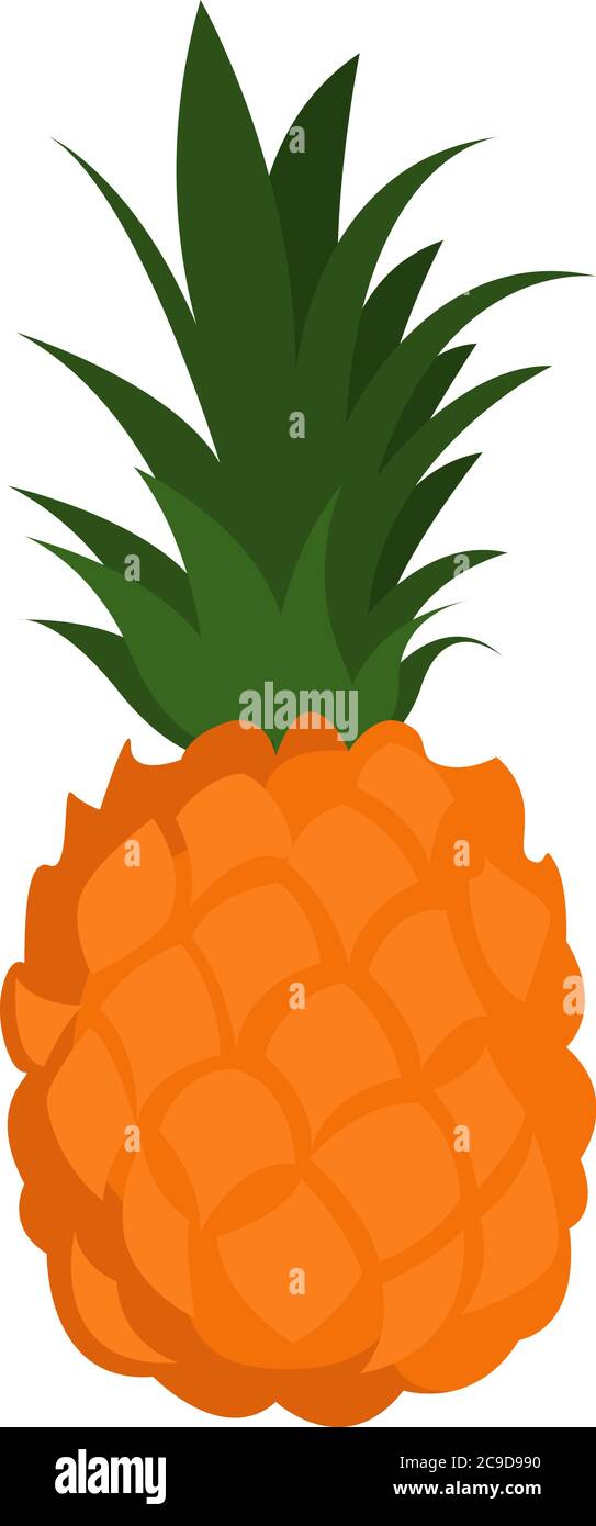 Fresh pineapple, illustration, vector on white background Stock Vector ...