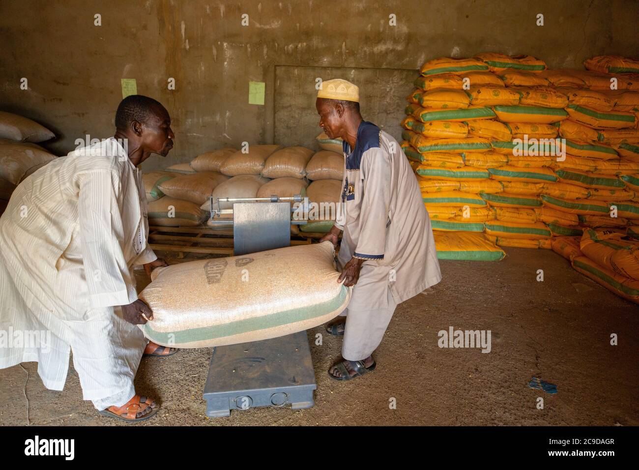 Warehouse workers Mahaman Amadou (57, R) and Muhamadou Yahaya (56, L) move sacks of maize at the headquarters of Union Adaltchi, one of Lutheran World Relief’s cooperative partners in Tahoua Region, Niger. Alliance 12/12 Project - Niger, West Africa. September 21, 2018. Photo by Jake Lyell for Lutheran World Relief. Stock Photo