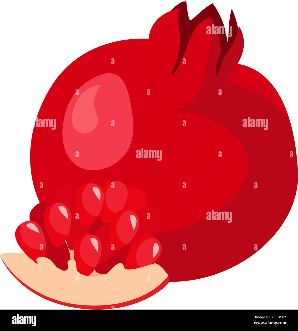 Punica fruit, illustration, vector on white background Stock Vector ...