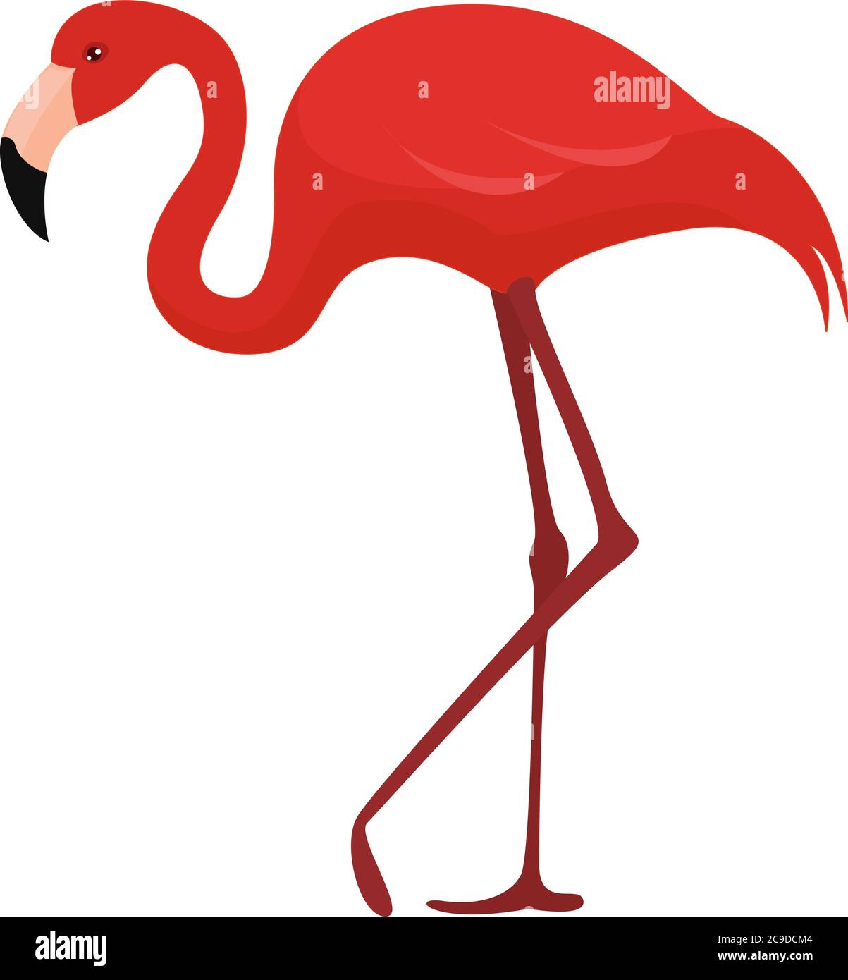 Pink flamingo illustration Cut Out Stock Images \u0026 Pictures - Page 3 - Alamy, image size:1203x1390