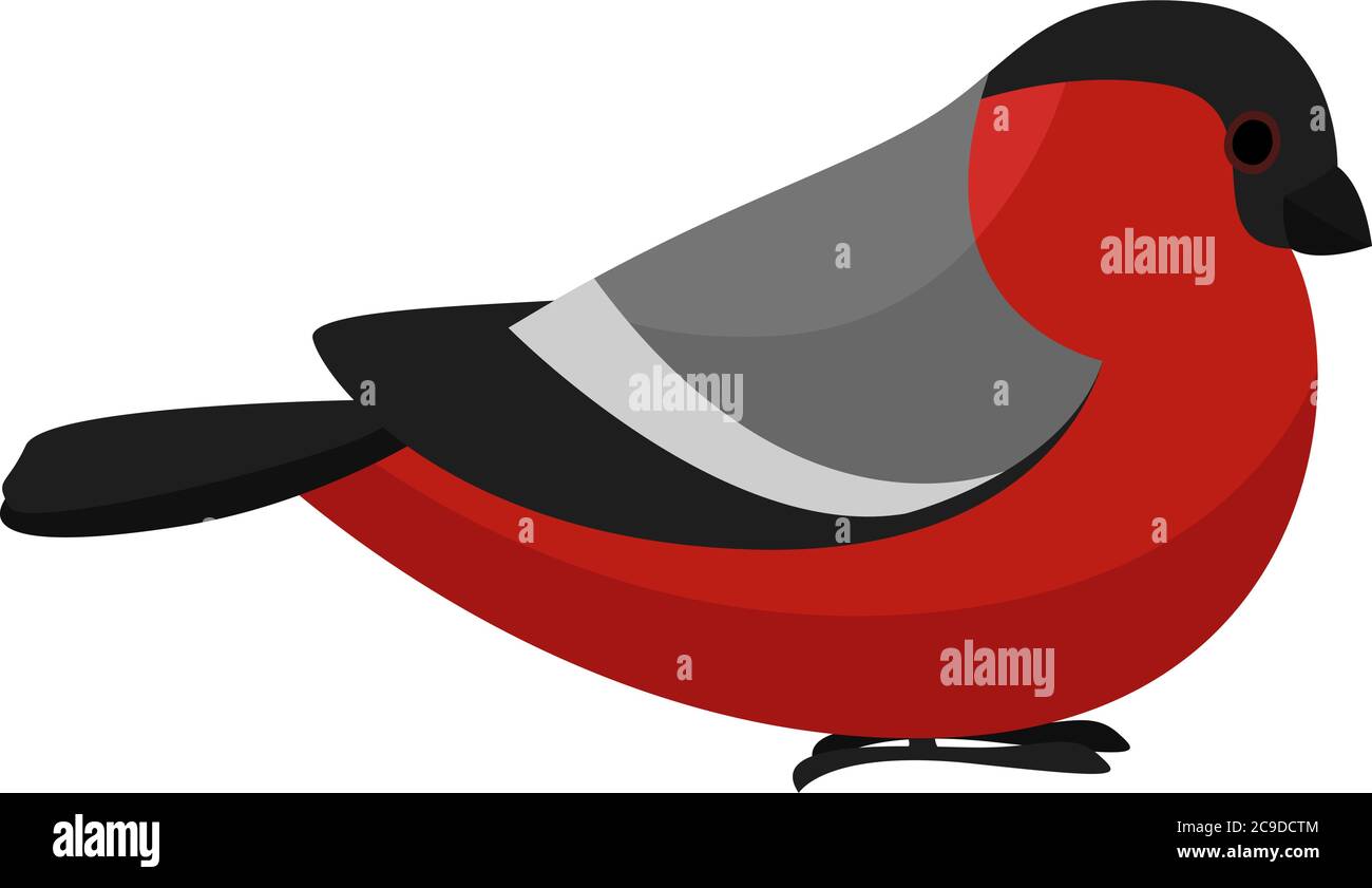 Red small bird, illustration, vector on white background Stock Vector ...