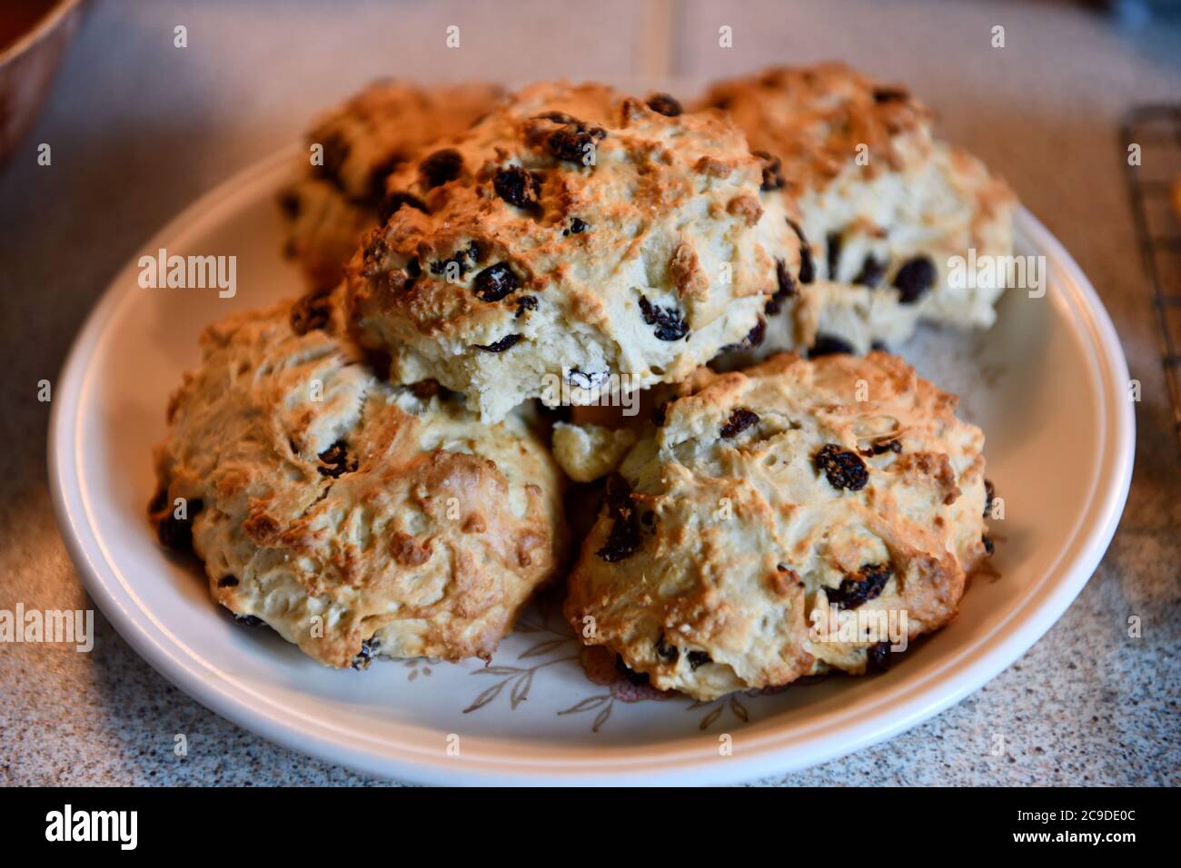 Fresh Fruit Scones cooling on a wire tray Stock Photo