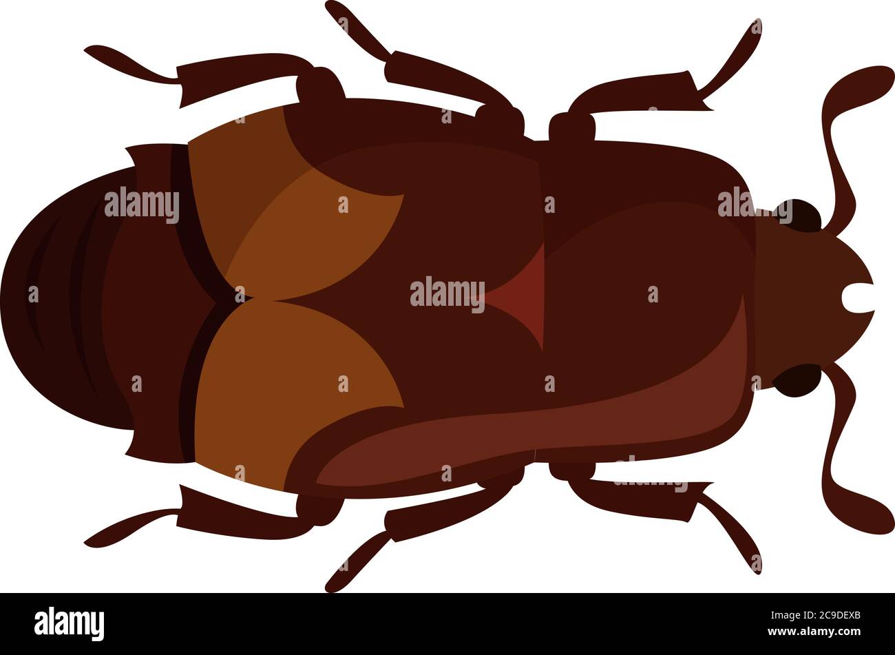 Sap beetle, illustration, vector on white background Stock Vector
