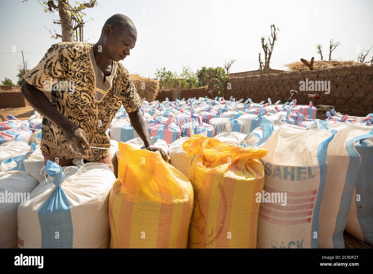 Sacks of sesame seed is bulked and purchased by commodities buyers at a