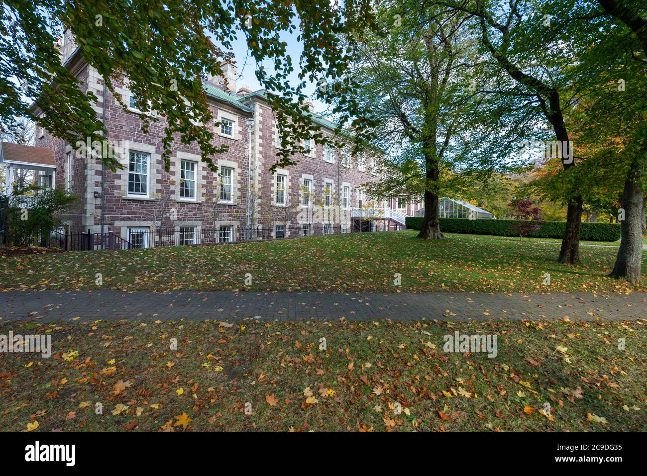 A garden view of green grass, red leaves on the ground and tall maple trees against the blue sky. There's a vintage brick building in the background. Stock Photo
