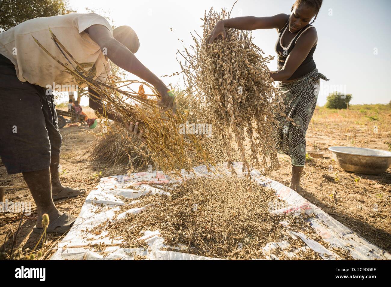 Farmers of the sahel hi-res stock photography and images - Alamy
