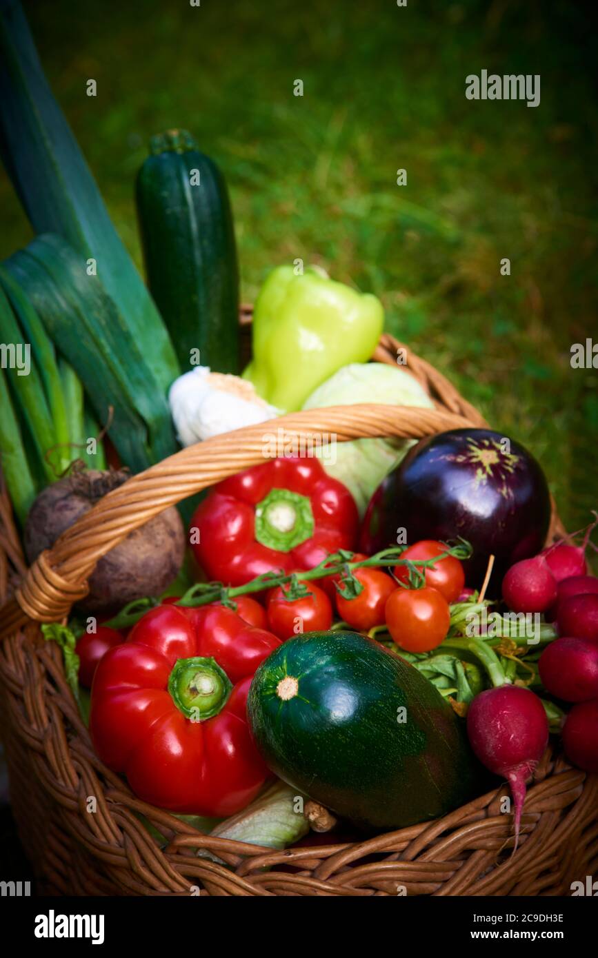 Wicker basket with fresh natural vegetables on a background of green ...
