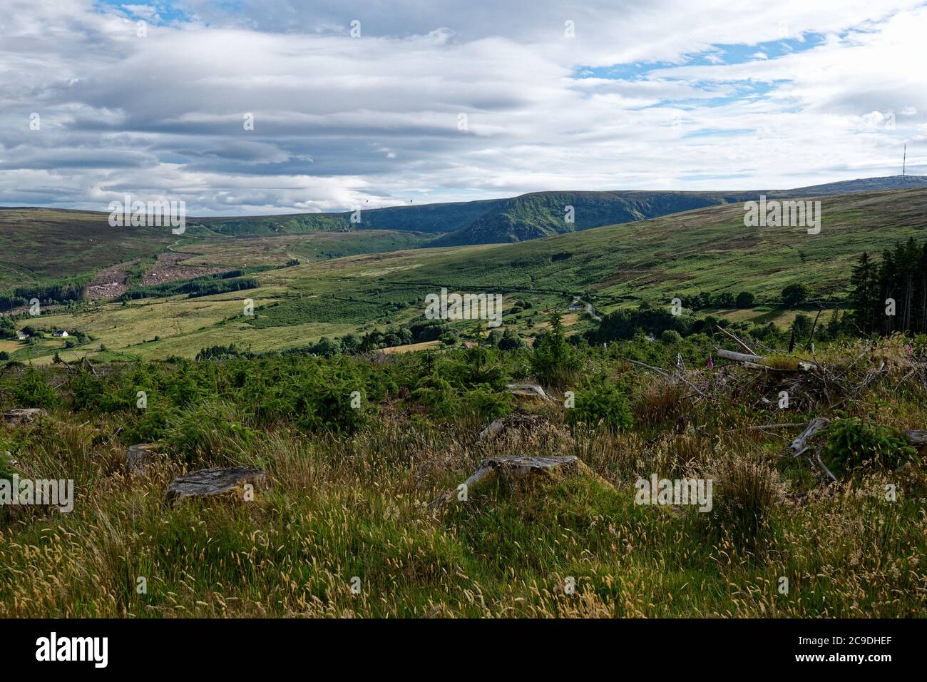 The scenery view on Wicklow mounts, Roundwood,Co.Wicklow,Ireland Stock Photo