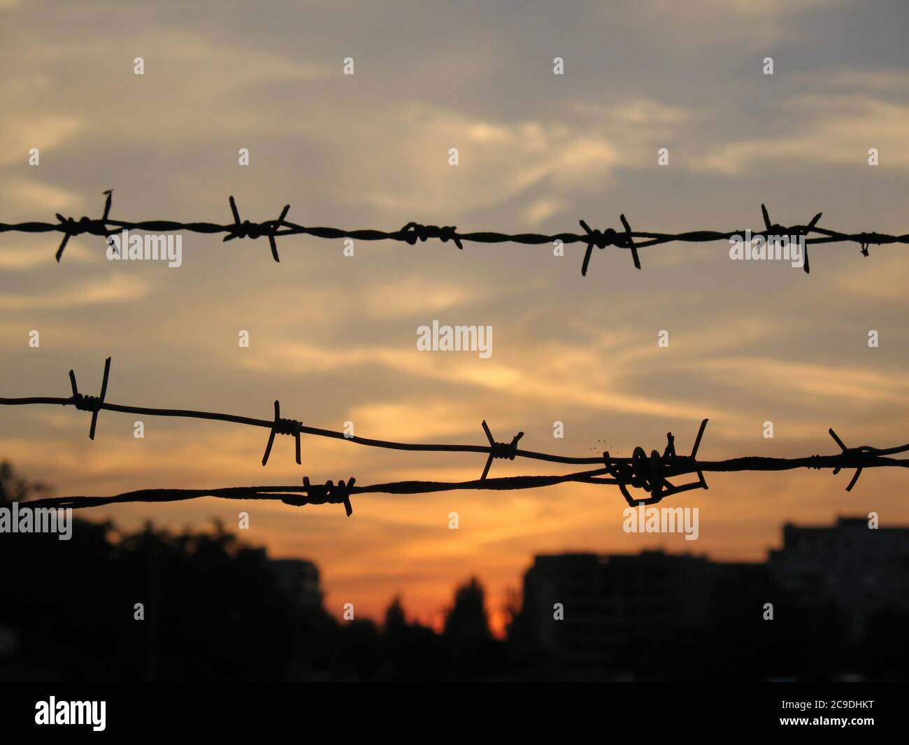 Black silhouette of barbed wire against the sunset Stock Photo - Alamy