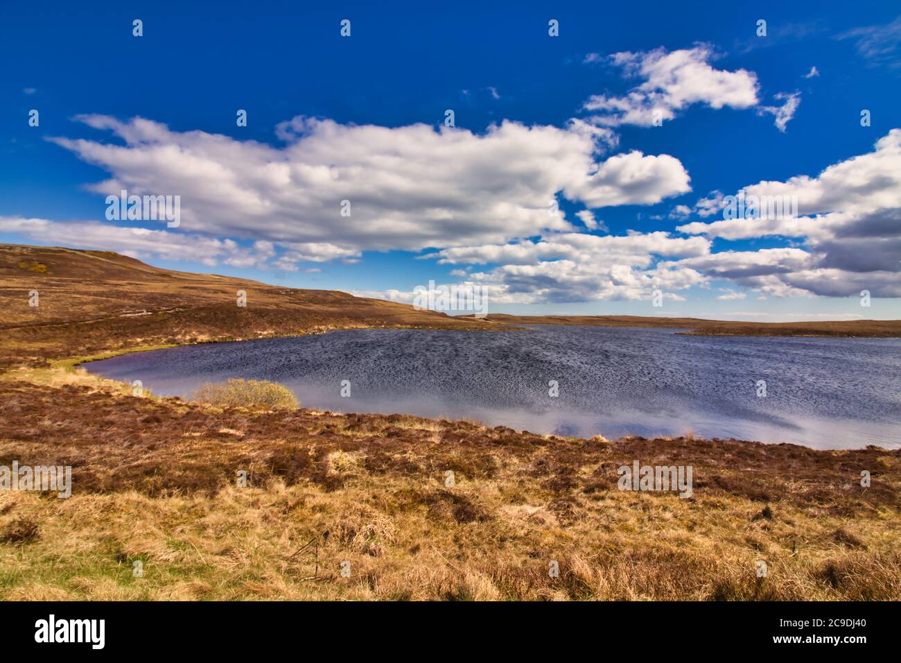 beautiful lake in the highlands in spring Stock Photo