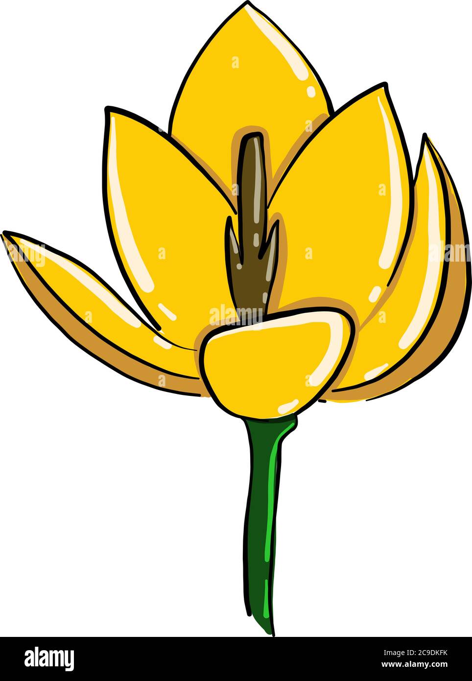 Yellow poppy, illustration, vector on white background Stock Vector