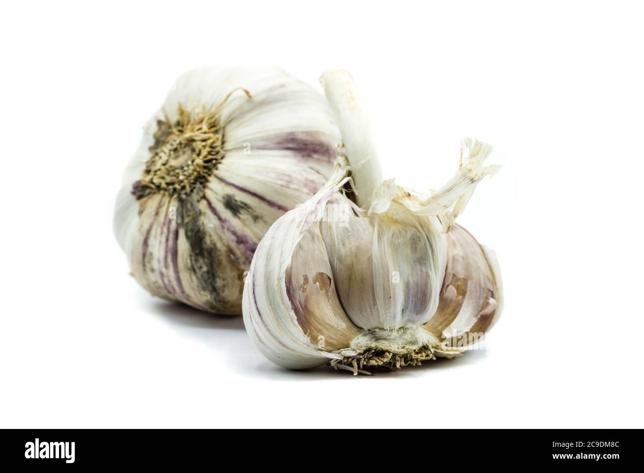 Garlic isolated on white background Stock Photo