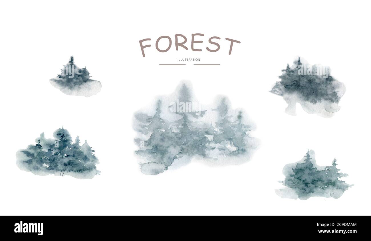 Wild coniferous wood in a morning fog. Forest watercolor background illustration Stock Photo