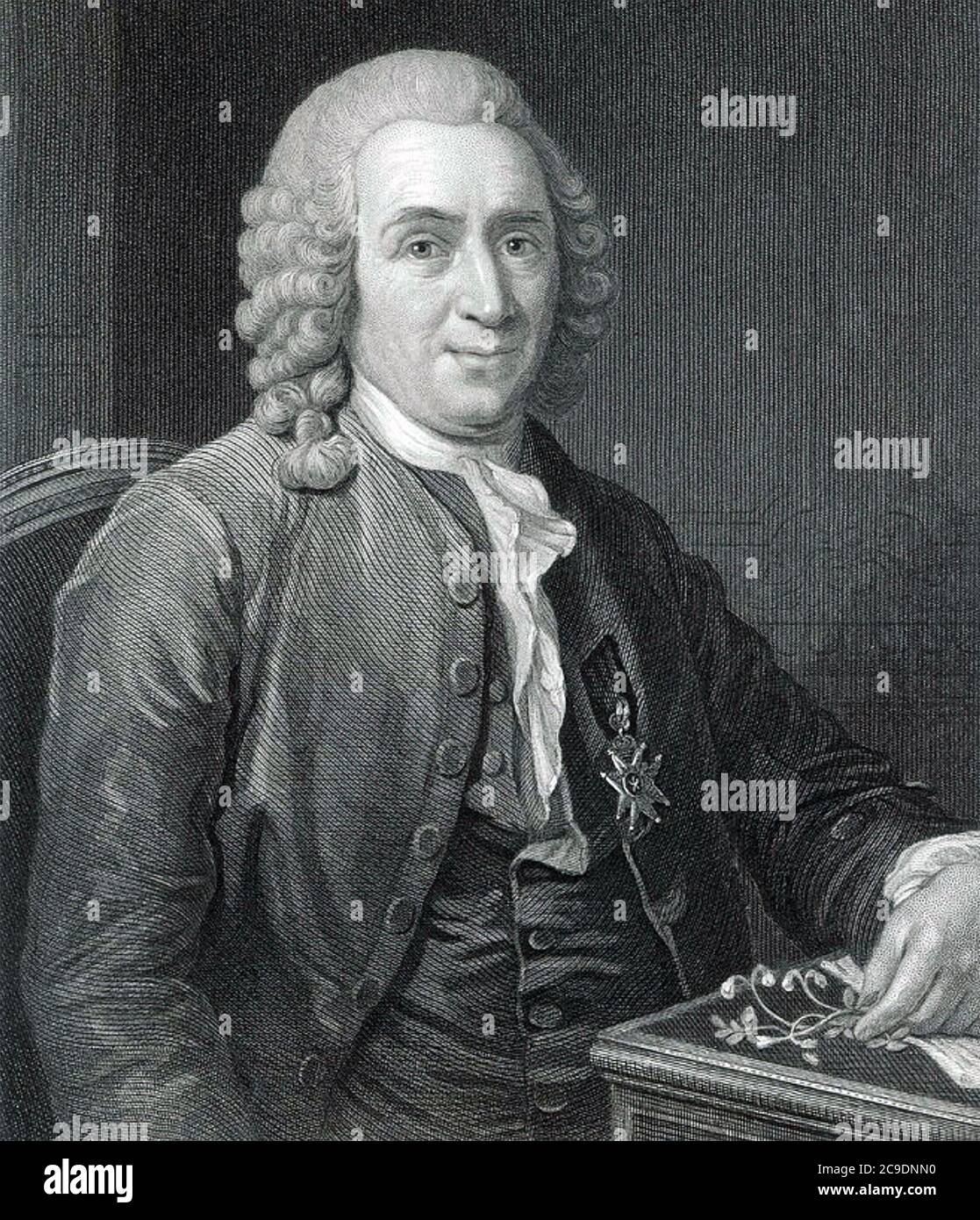 CARL LINNAEUS (1707-1778) Swedish botanist, zoologist and physician Stock Photo