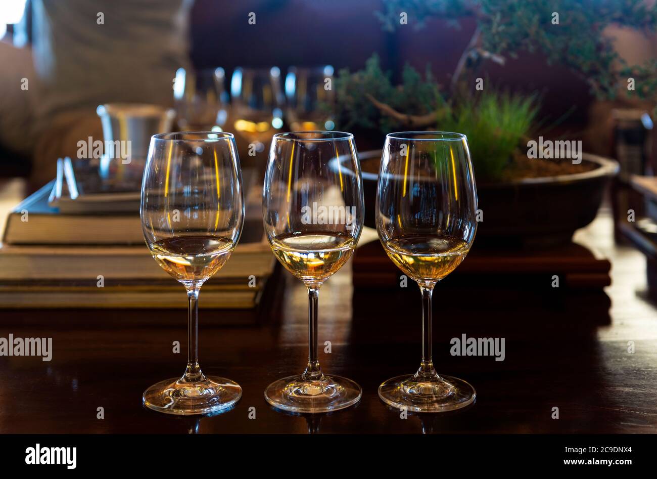 Set up of three glasses of white wine (Sauvignon Blanc and Chardonnay) for a wine tasting, South Africa. Stock Photo