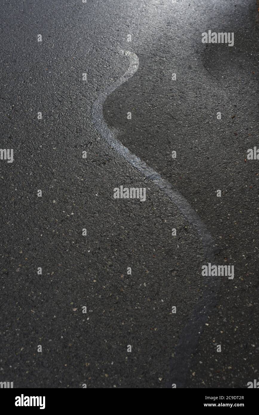 A wet road surface with a tarred crack is lit by early morning sun Stock Photo