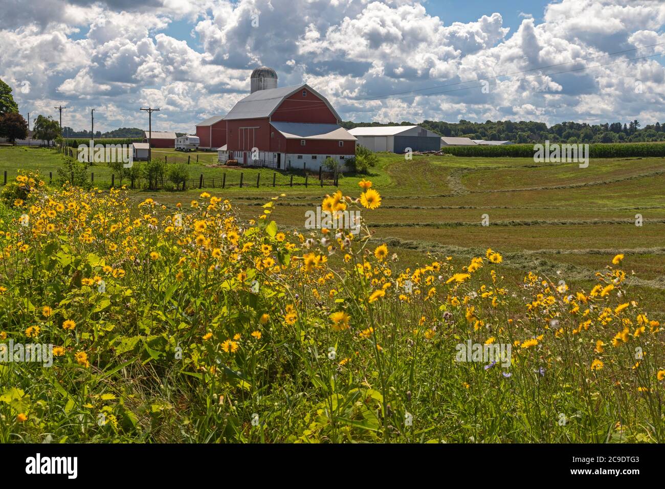 Hopkins, Michigan - West Michigan farm. Stock Photo