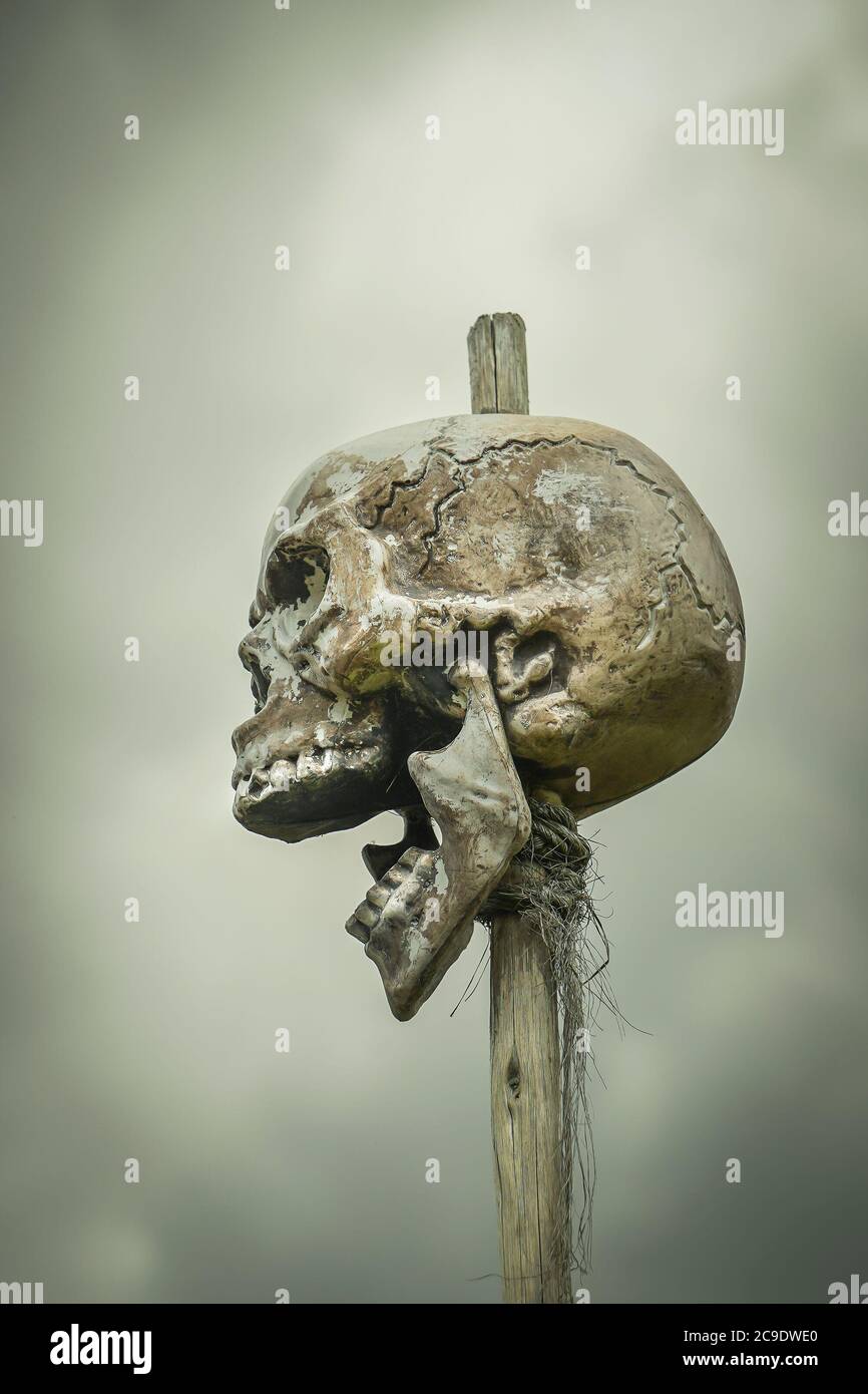 Side view close up of terrifying human skull isolated on sacrificial post outdoors. Halloween theatre prop, book cover. Jaw dropping concept. Stock Photo