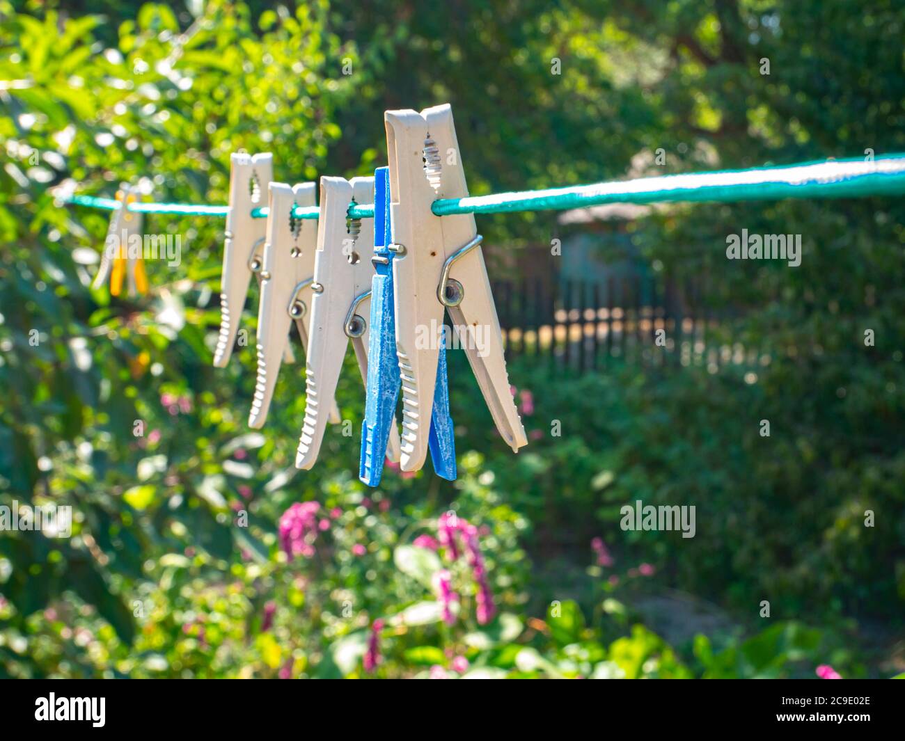 Clothespins hang on a clothesline to dry the clothes. Household. Gen
