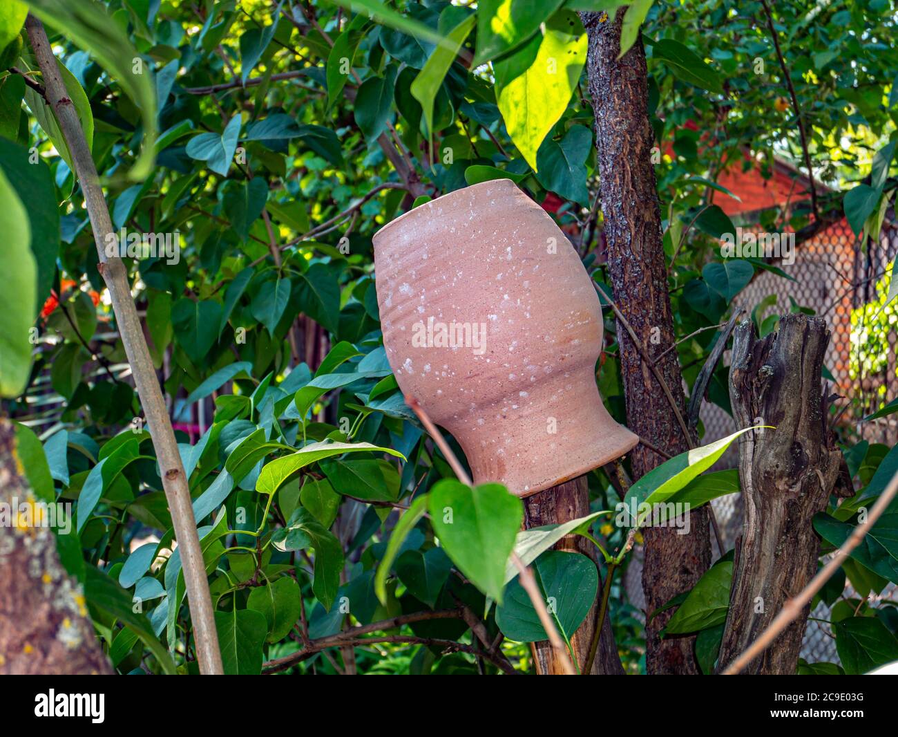 Earthenware jug on a green tree branch. Household. Gen. Background image. On the street. Place for text. Template. Poster. Stock Photo