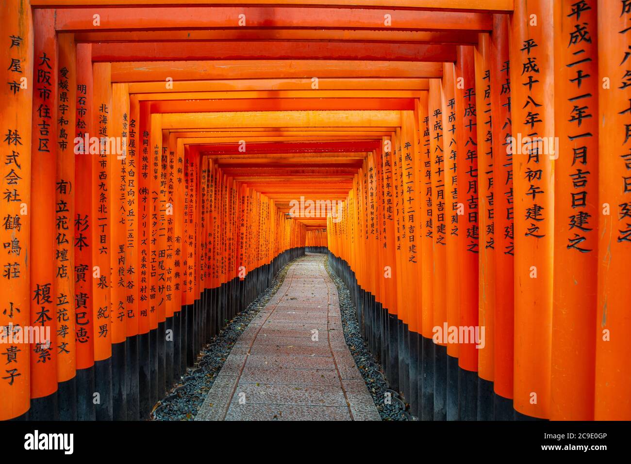 Walkway In Fushimi Inari Shrine In Kyoto High Resolution Stock Photography And Images Alamy Walkway In Fushimi Inari Shrine In Kyoto High Resolution Stock Photography And Images Alamy