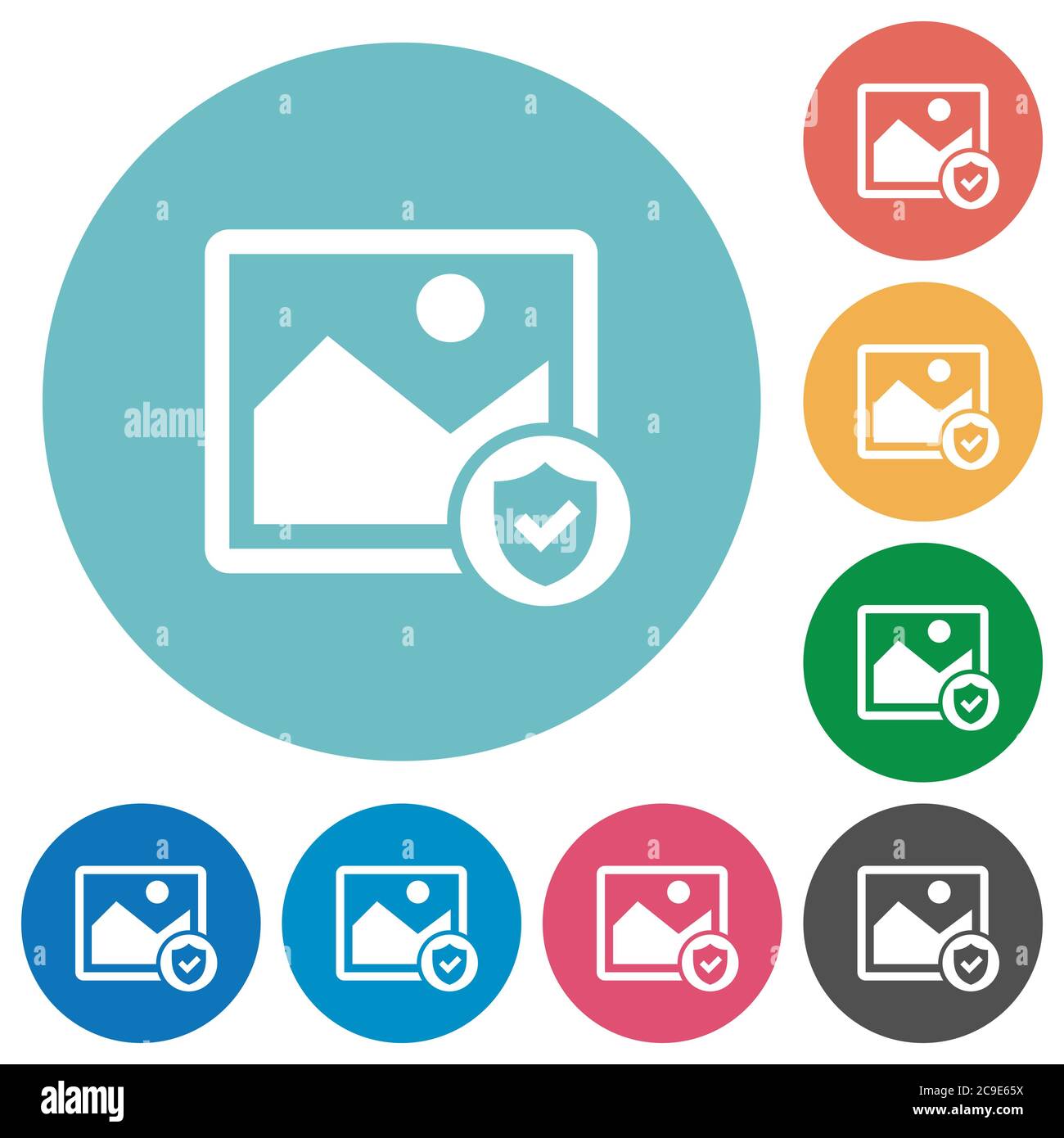 Protected image flat white icons on round color backgrounds Stock Vector