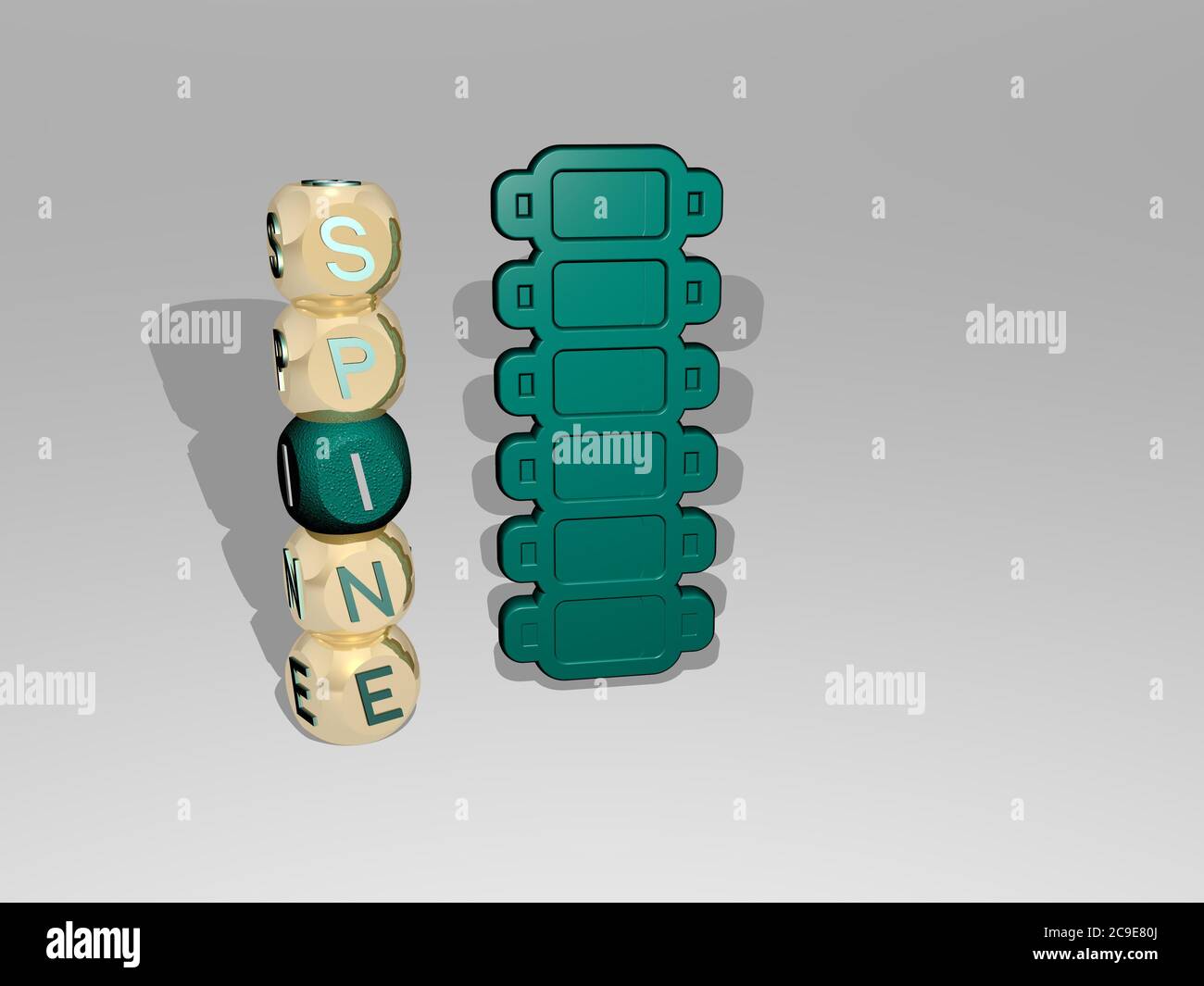 3D illustration of spine graphics and text around the icon made by ...