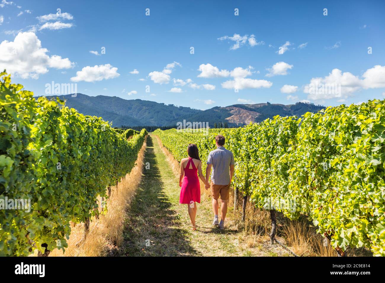 Vineyard couple tourists New Zealand travel visiting Marlborough region winery walking amongst grapevines. People on holiday wine tasting experience Stock Photo