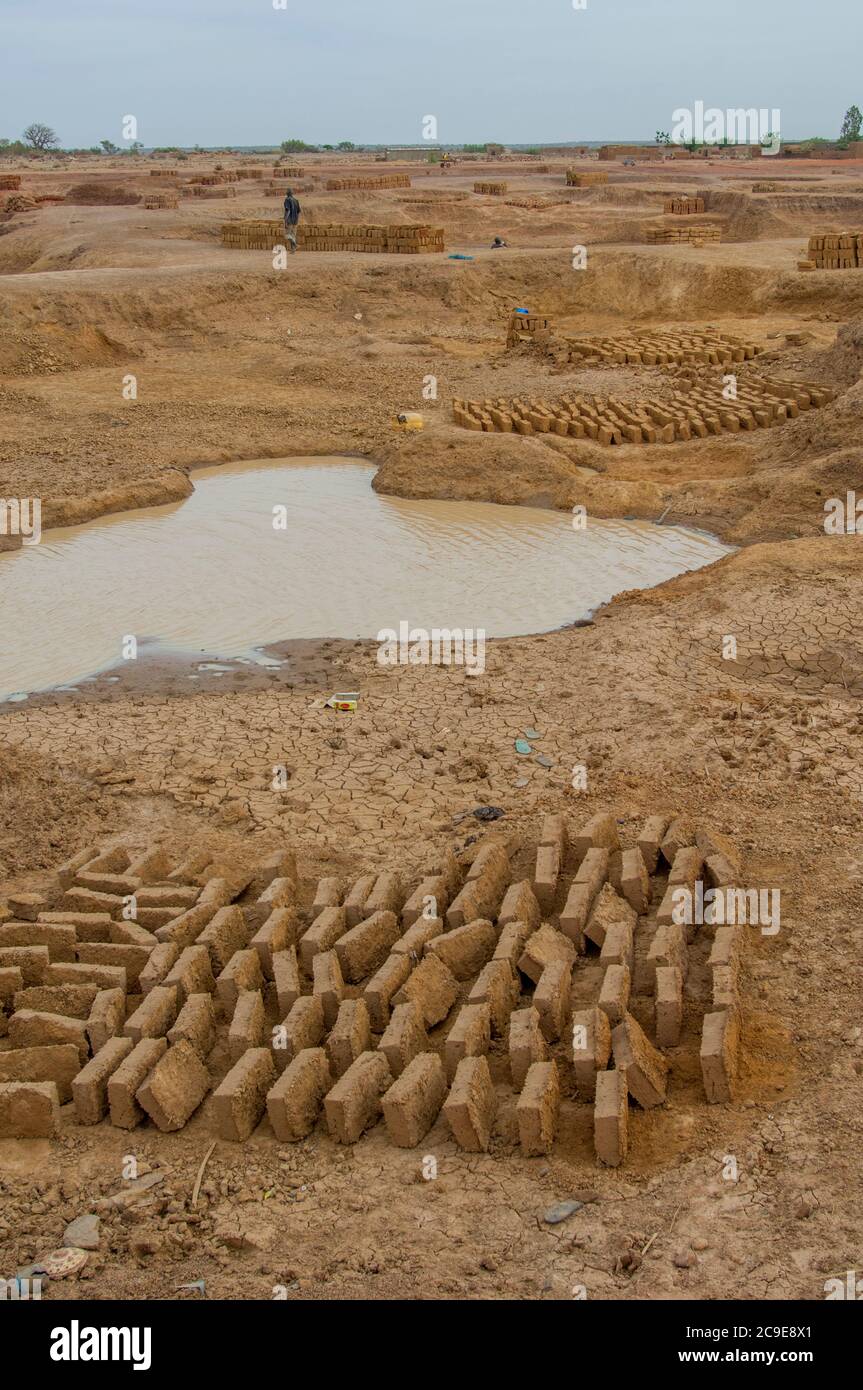 The mudbrick production in the Bandiagara area in Mali, West Africa: after the brick forms are removed, the bricks are drying in the air. Stock Photo