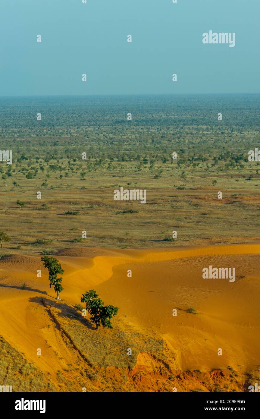 View of the savannah landscape in the Sahel zone showing the