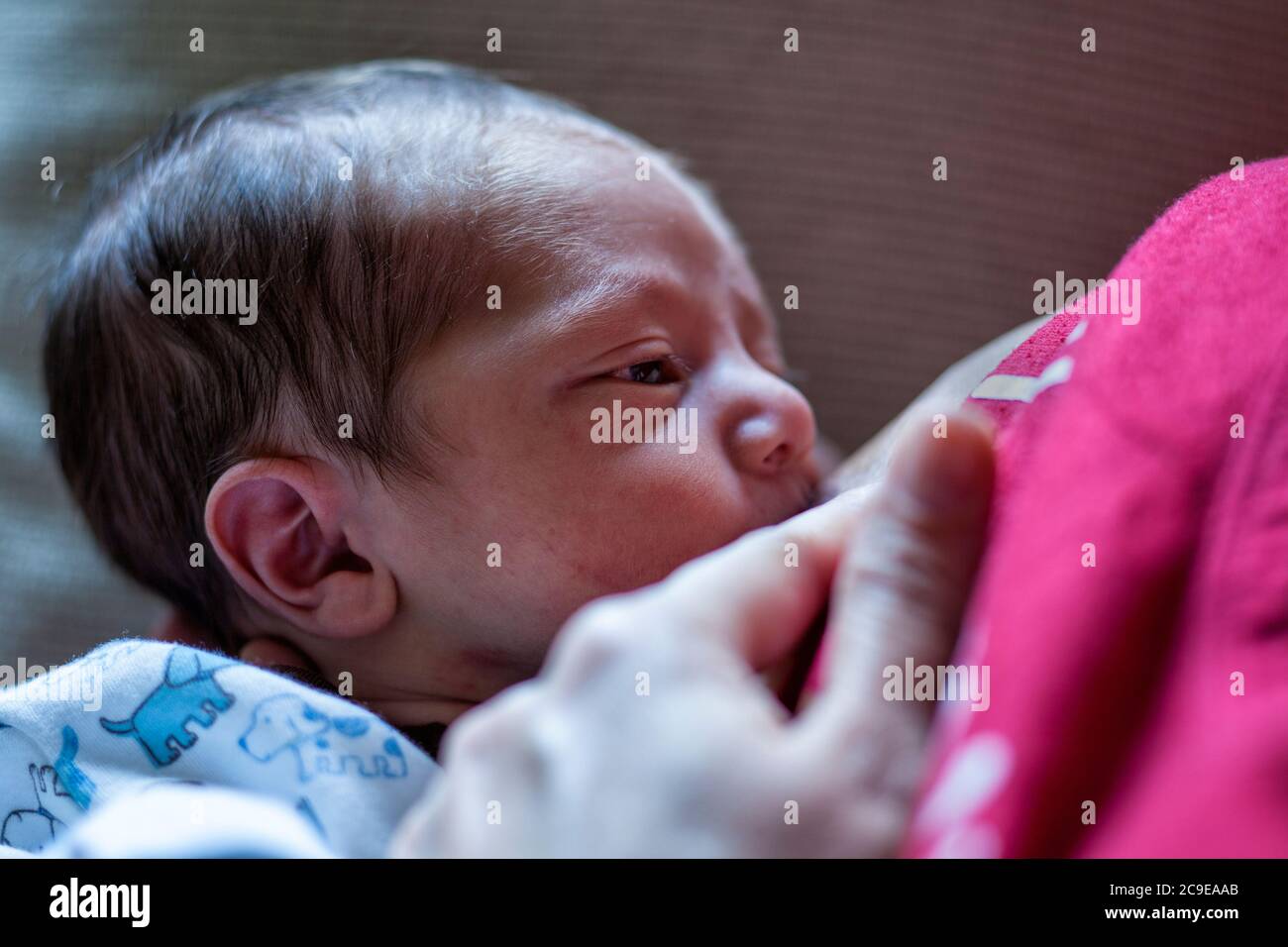 Cute Newborn Baby Boys With Brown Eyes