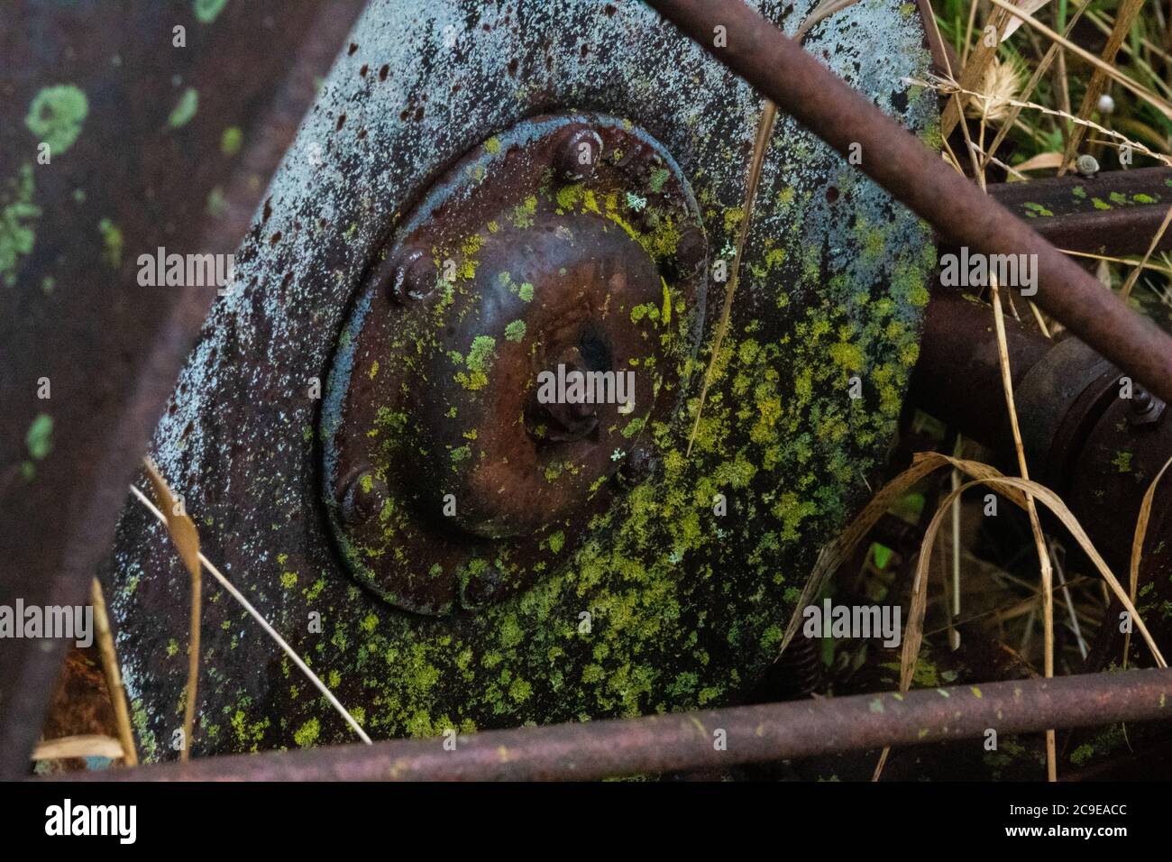 old abandoned Antique rusted farm equipment left in a field covered in moss. A remnant of past times and life before modern technology. Stock Photo