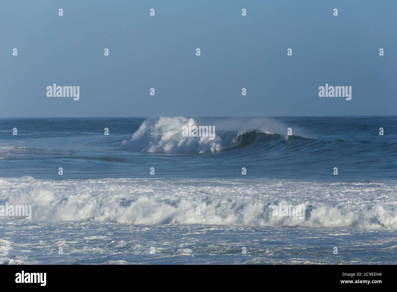 The Breaking Point Inside Courtroom 101