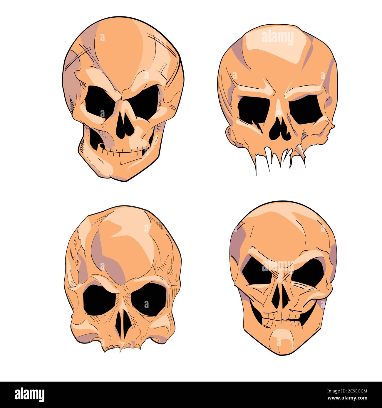 Vector illustration group of human skulls. Human skull design for characters. Stock Vector