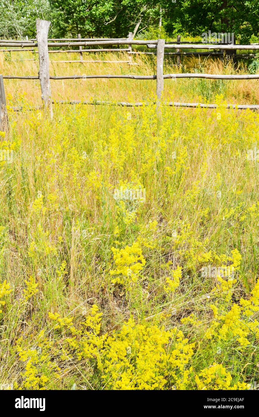 old wooden fence. Old fence on a background of grass Stock Photo - Alamy