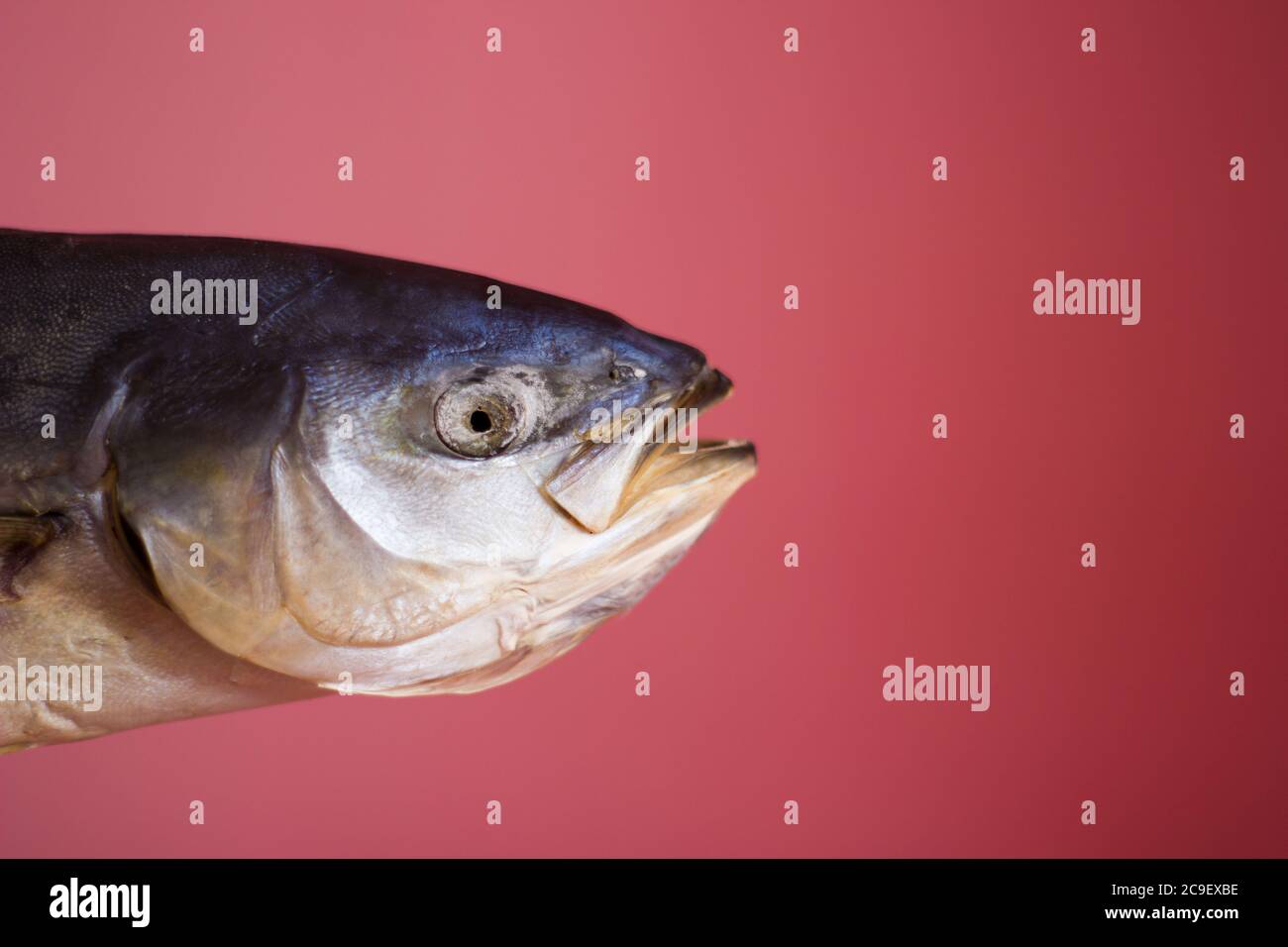Tuna fish on a pink background, salted dried - isolate, head Stock Photo