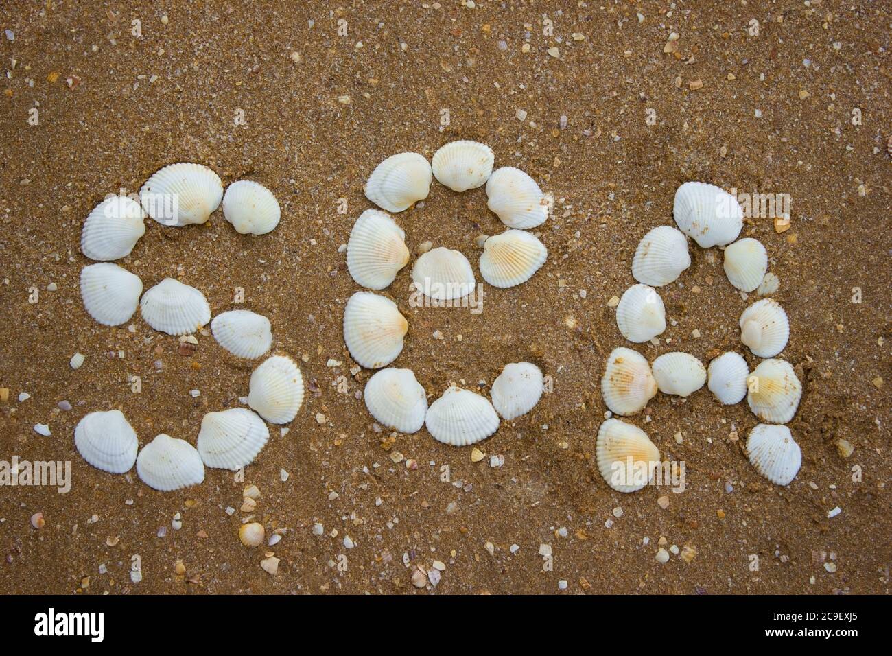 Inscription on the sand from shells - the sea, camping, tourism Stock ...
