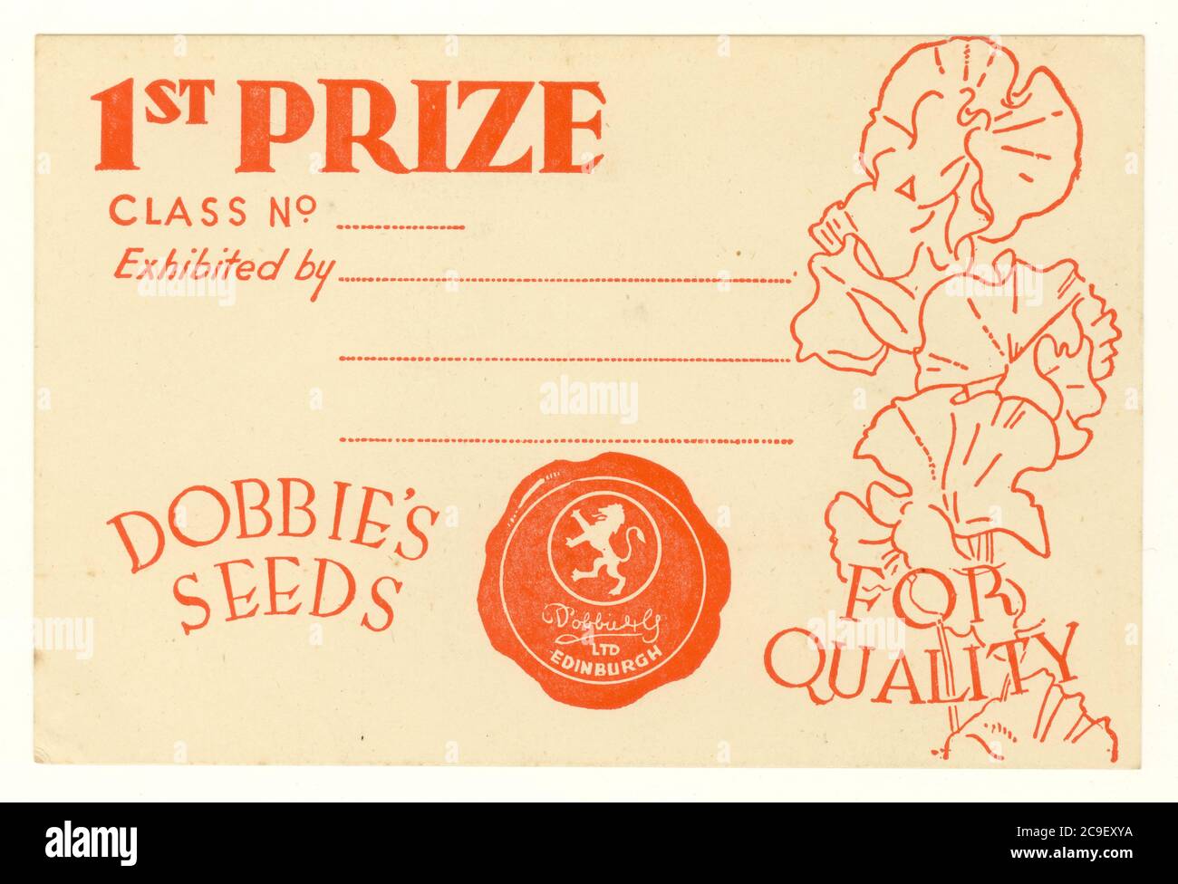 Dobbie's Seeds 1st prize horticultural show prize, Dobbies business was based in Edinburgh, Scotland, U.K. circa 1960's/1970's Stock Photo