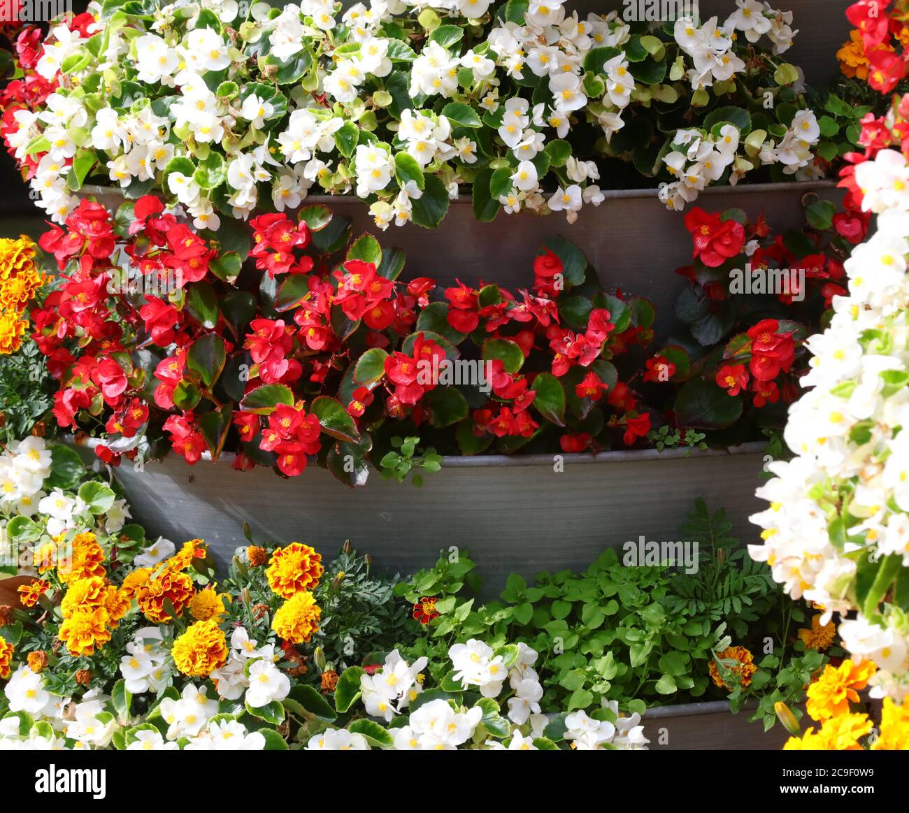 begonias and other flowers in the large vertical flowerbed to decorate the city Stock Photo